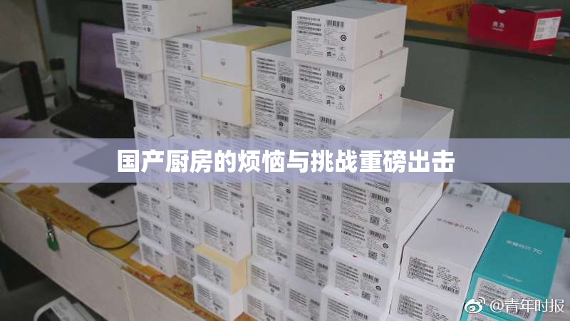 国产厨房的烦恼与挑战重磅出击