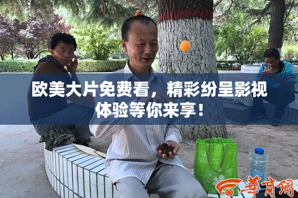 欧美大片免费看，精彩纷呈影视体验等你来享！