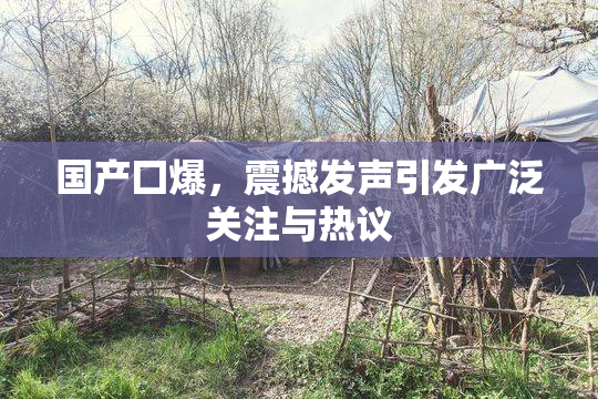 国产囗爆，震撼发声引发广泛关注与热议