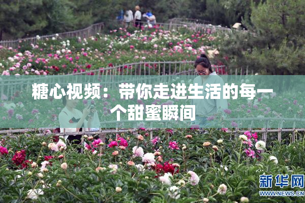 糖心视频：带你走进生活的每一个甜蜜瞬间