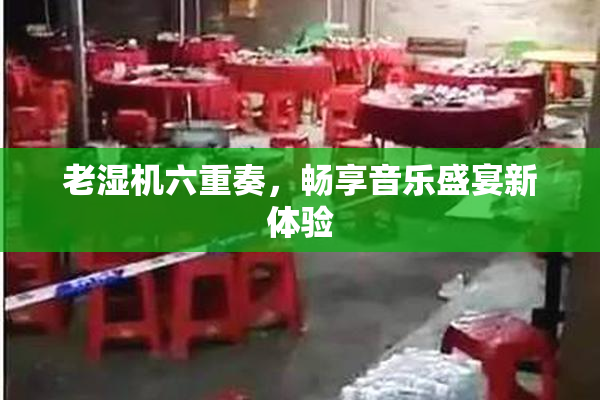 老湿机六重奏，畅享音乐盛宴新体验