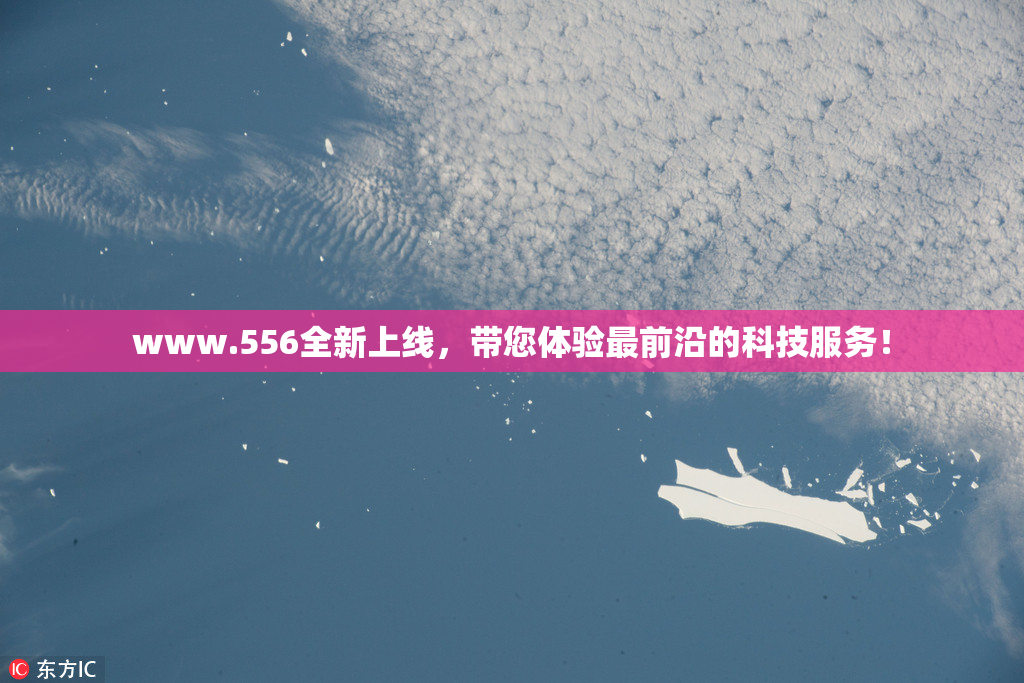 www.556全新上线，带您体验最前沿的科技服务！