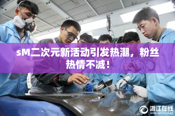 sM二次元新活动引发热潮，粉丝热情不减！