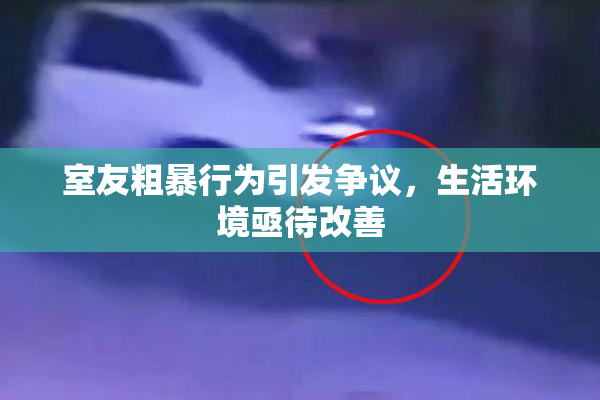 室友粗暴行为引发争议，生活环境亟待改善