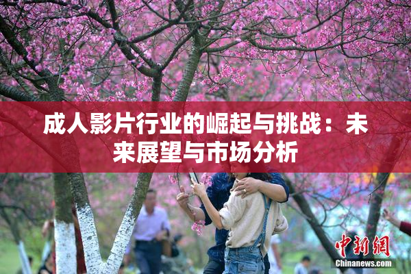 成人影片行业的崛起与挑战：未来展望与市场分析
