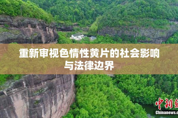 重新审视色情性黄片的社会影响与法律边界