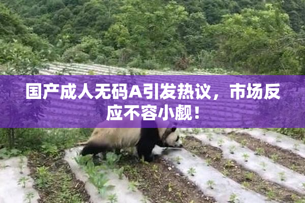 国产成人无码A引发热议，市场反应不容小觑！