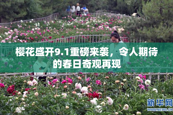 樱花盛开9.1重磅来袭，令人期待的春日奇观再现