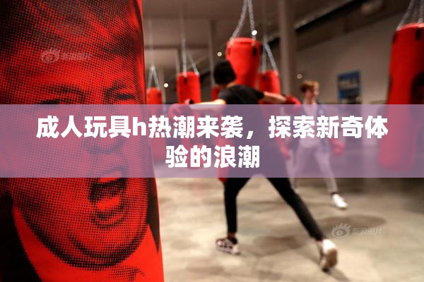 成人玩具h热潮来袭，探索新奇体验的浪潮