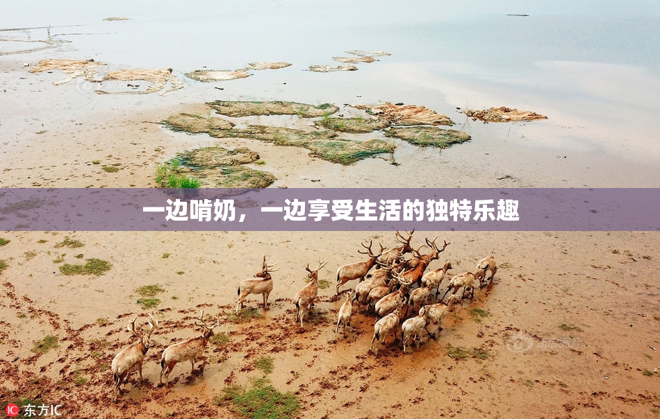 一边啃奶，一边享受生活的独特乐趣
