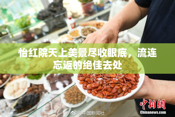 怡红院天上美景尽收眼底，流连忘返的绝佳去处