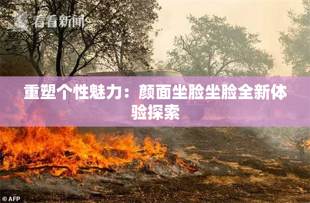 重塑个性魅力：颜面坐脸坐脸全新体验探索