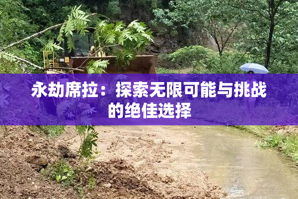 永劫席拉：探索无限可能与挑战的绝佳选择