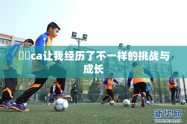 妺妺ca让我经历了不一样的挑战与成长