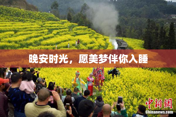 晚安时光，愿美梦伴你入睡