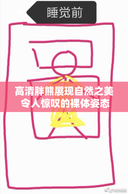 高清胖熊展现自然之美 令人惊叹的裸体姿态
