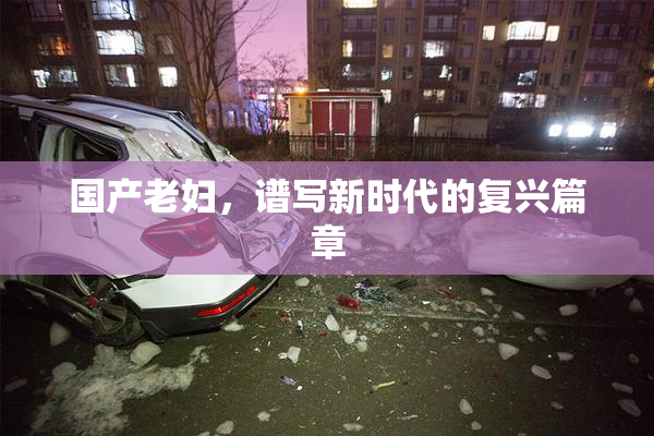 国产老妇，谱写新时代的复兴篇章