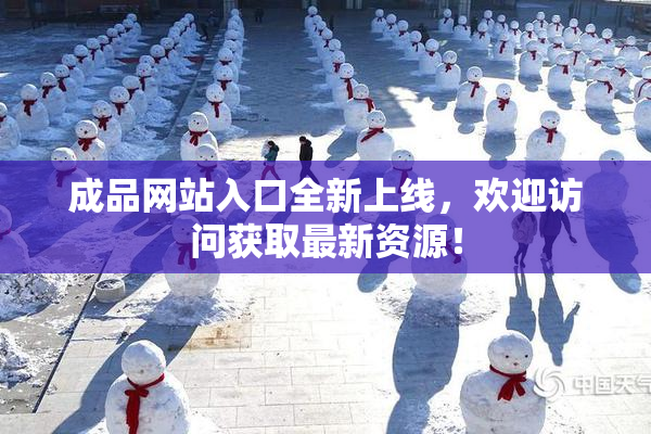 成品网站入口全新上线，欢迎访问获取最新资源！