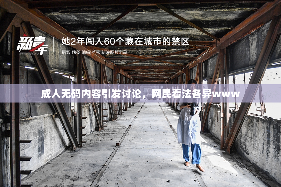 成人无码内容引发讨论，网民看法各异www