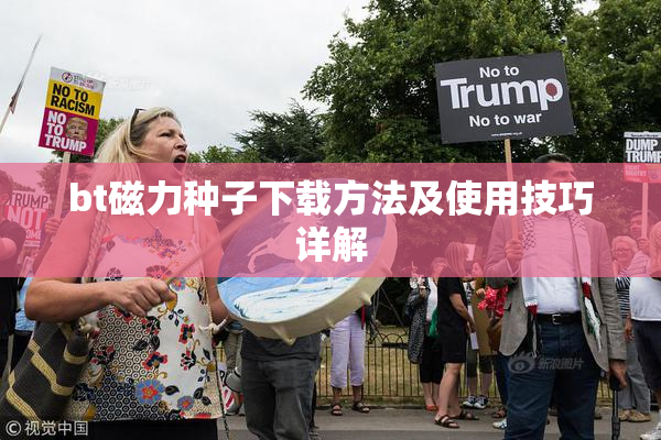 bt磁力种子下载方法及使用技巧详解