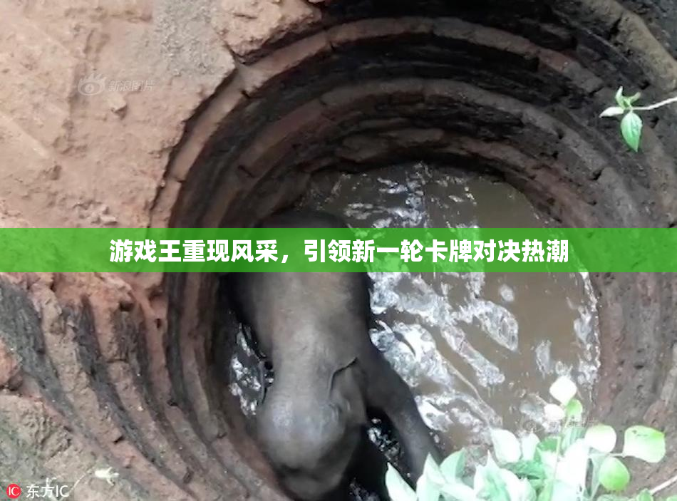 游戏王重现风采，引领新一轮卡牌对决热潮