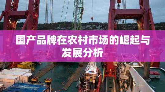 国产品牌在农村市场的崛起与发展分析