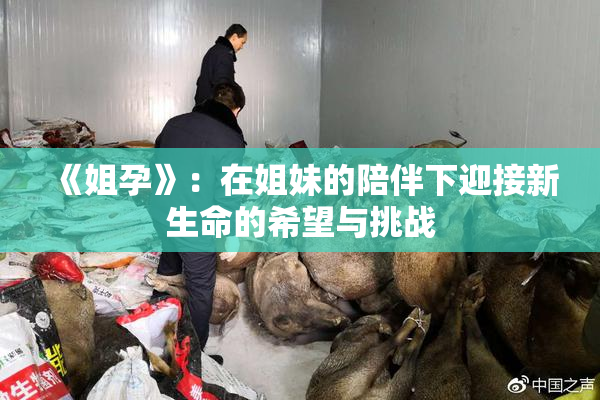 《姐孕》：在姐妹的陪伴下迎接新生命的希望与挑战