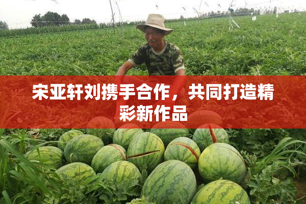 宋亚轩刘携手合作，共同打造精彩新作品