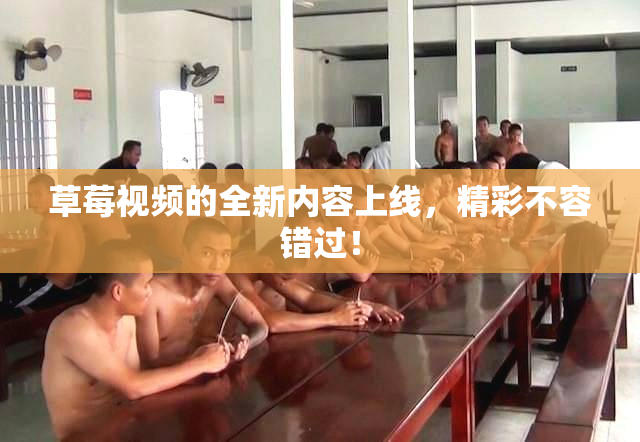 草莓视频的全新内容上线，精彩不容错过！