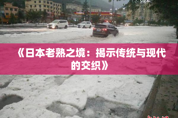 《日本老熟之境：揭示传统与现代的交织》