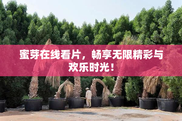 蜜芽在线看片，畅享无限精彩与欢乐时光！