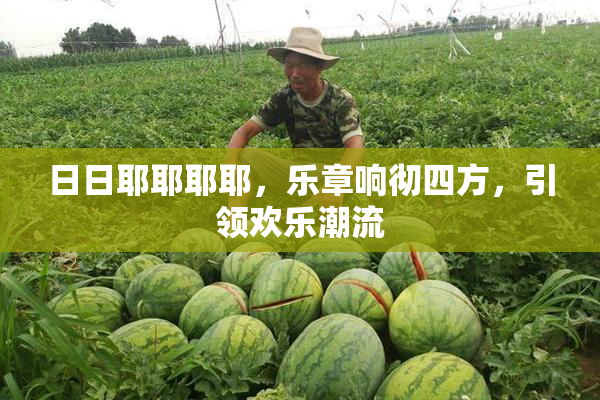 日日耶耶耶耶，乐章响彻四方，引领欢乐潮流