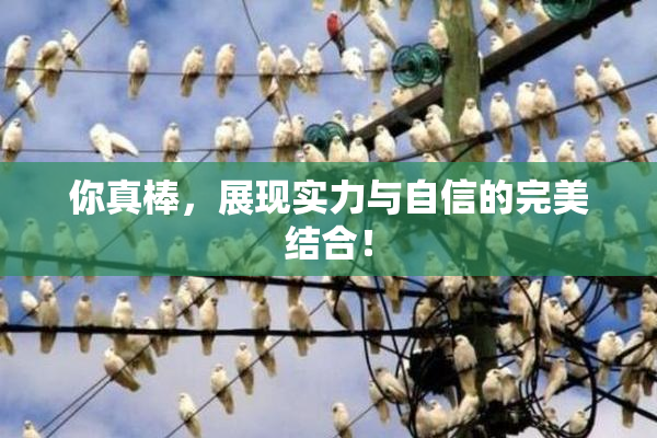 你真棒，展现实力与自信的完美结合！