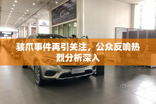 骇爪事件再引关注，公众反响热烈分析深入