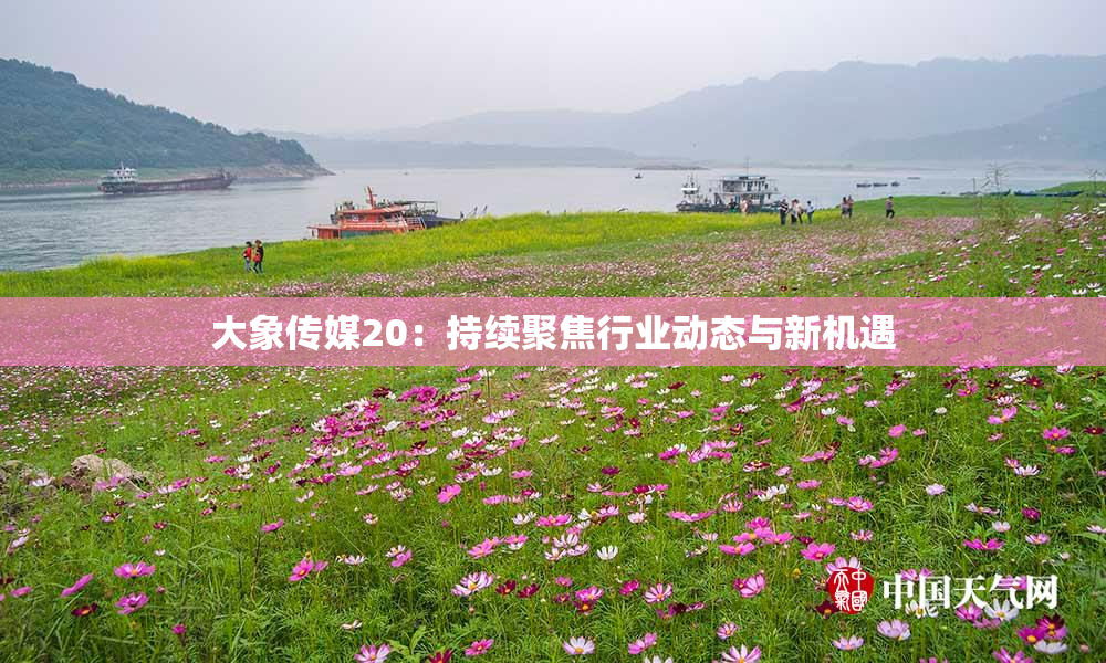 大象传媒20：持续聚焦行业动态与新机遇