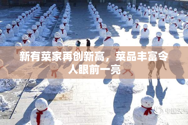 新有菜家再创新高，菜品丰富令人眼前一亮