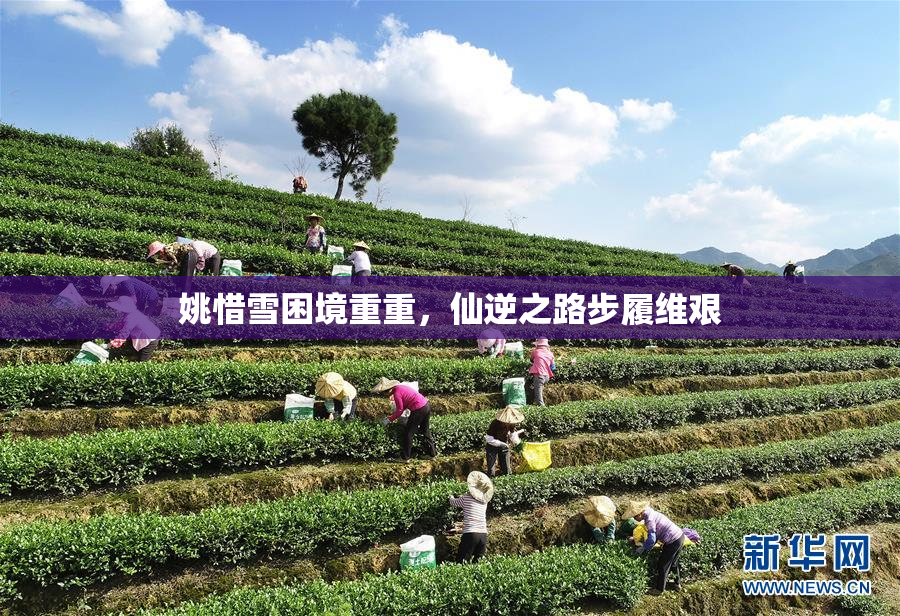 姚惜雪困境重重，仙逆之路步履维艰
