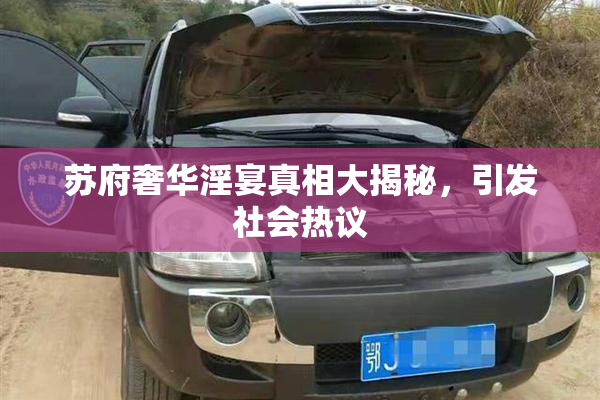 苏府奢华淫宴真相大揭秘，引发社会热议