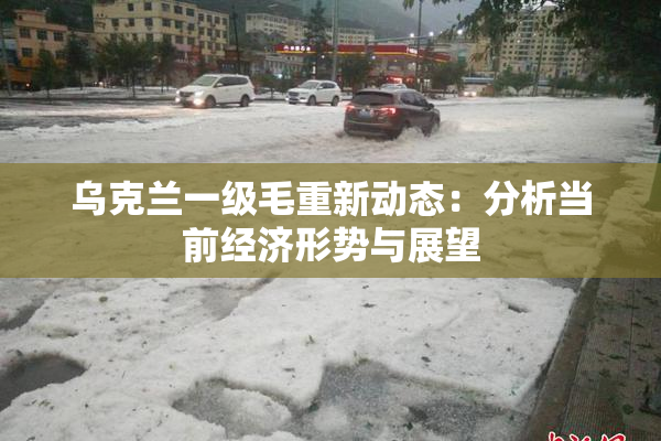 乌克兰一级毛重新动态：分析当前经济形势与展望