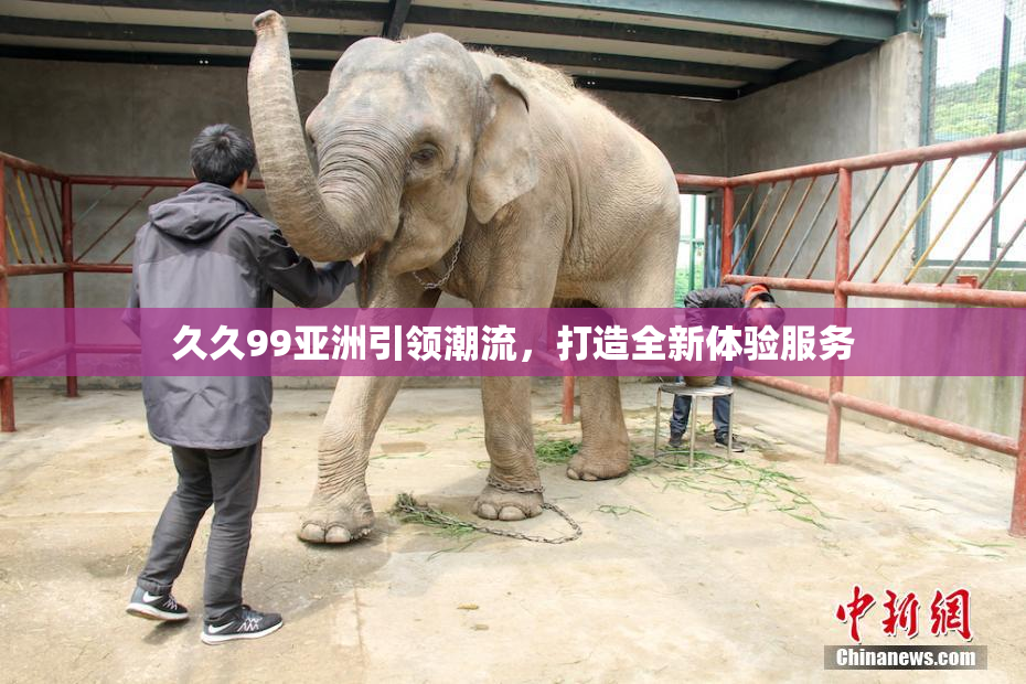 久久99亚洲引领潮流，打造全新体验服务
