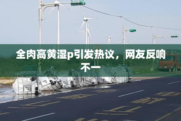 全肉高黄湿p引发热议，网友反响不一