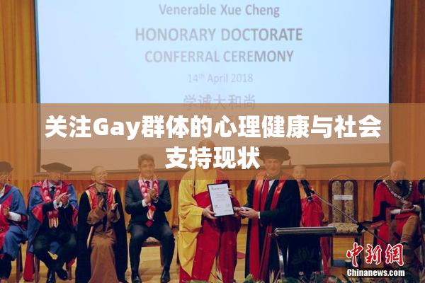关注Gay群体的心理健康与社会支持现状