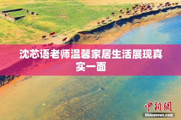 沈芯语老师温馨家居生活展现真实一面