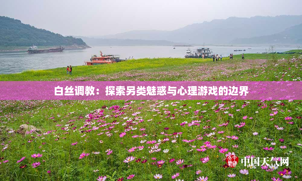 白丝调教：探索另类魅惑与心理游戏的边界