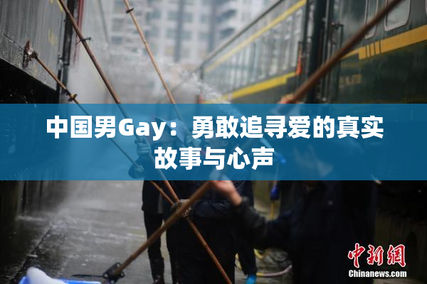 中国男Gay：勇敢追寻爱的真实故事与心声