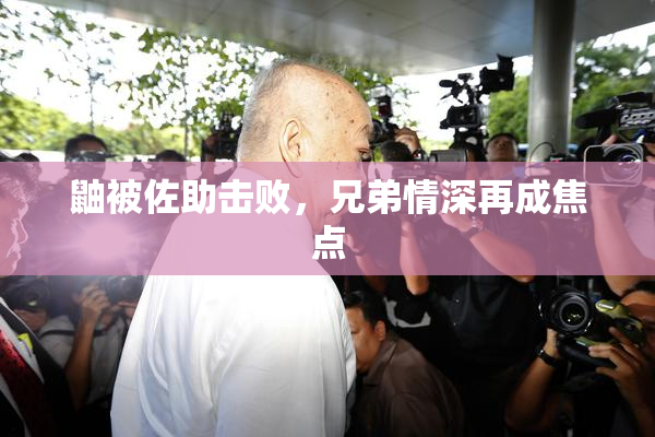 鼬被佐助击败，兄弟情深再成焦点