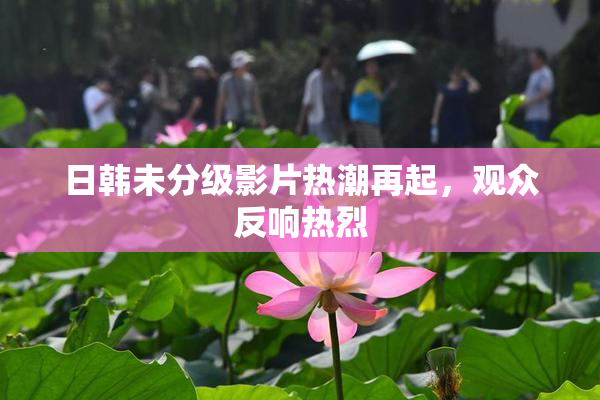 日韩未分级影片热潮再起，观众反响热烈