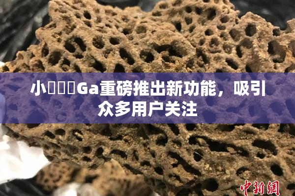 小藍視頻Ga重磅推出新功能，吸引众多用户关注