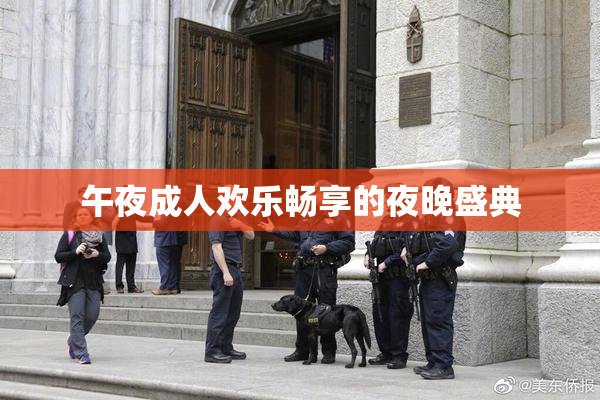 午夜成人欢乐畅享的夜晚盛典