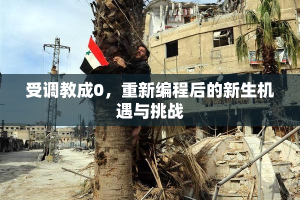 受调教成0，重新编程后的新生机遇与挑战